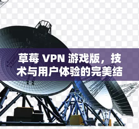 草莓 VPN 游戏版,技术与用户体验的完美结合 草莓 VPN 游戏版,技术与用户体验的完美结合