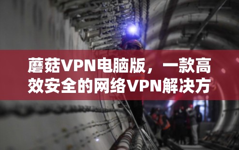 蘑菇VPN电脑版,一款高效安全的网络VPN解决方案 蘑菇VPN电脑版,一款高效安全的网络VPN解决方案