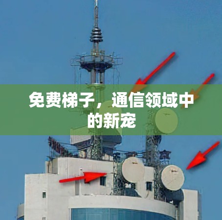 免费梯子，通信领域中的新宠
