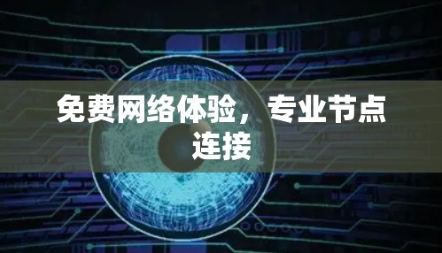 免费网络体验,专业节点连接 免费网络体验,专业节点连接