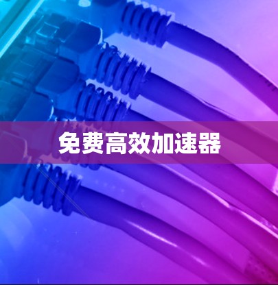 免费高效加速器 免费高效加速器