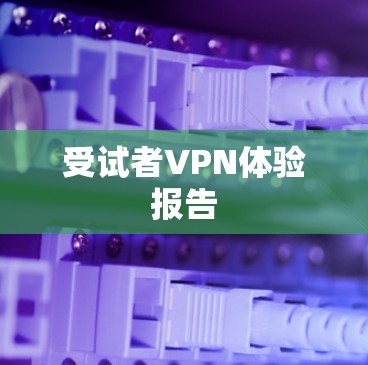 受试者VPN体验报告