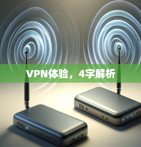 VPN体验，4字解析
