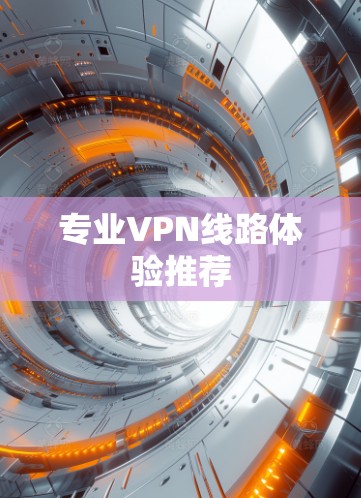 专业VPN线路体验推荐