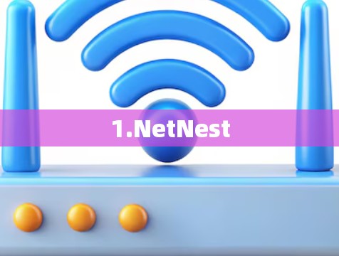 1.NetNest 1.NetNest