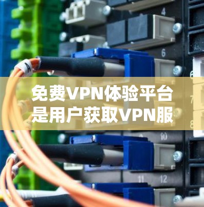 免费VPN体验平台是用户获取VPN服务的一种方式，这些平台通常提供无网络VPN服务，用户可以安全地在线观看内容。以下是几个常见的免费VPN平台及其特点