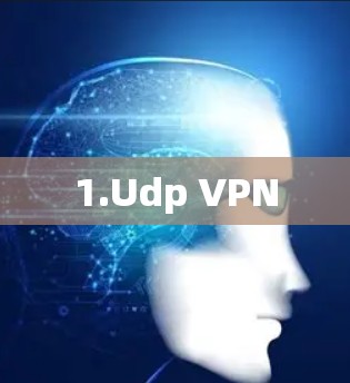1.Udp VPN