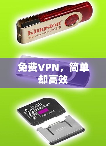 免费VPN,简单却高效 免费VPN,简单却高效