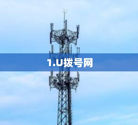 1.U拨号网 1.U拨号网