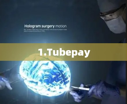 1.Tubepay