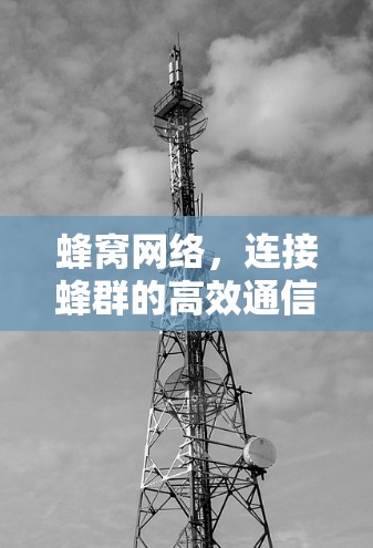 蜂窝网络,连接蜂群的高效通信技术 蜂窝网络,连接蜂群的高效通信技术