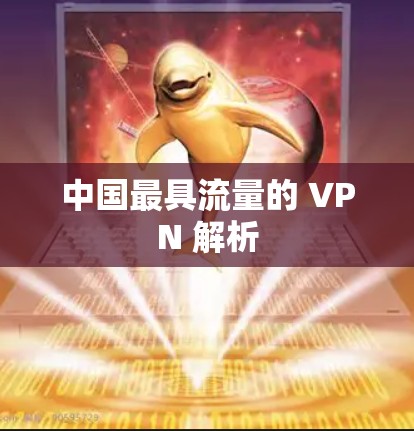 中国最具流量的 VPN 解析