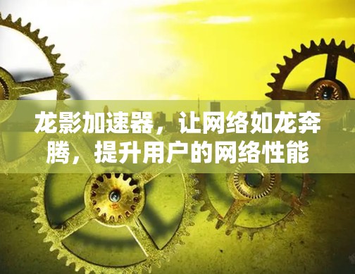 龙影加速器,让网络如龙奔腾,提升用户的网络性能与生活质量 龙影加速器,让网络如龙奔腾,提升用户的网络性能与生活质量