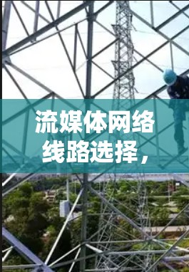流媒体网络线路选择,优化方案与性价比分析 流媒体网络线路选择,优化方案与性价比分析
