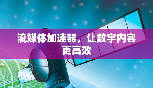 流媒体加速器，让数字内容更高效