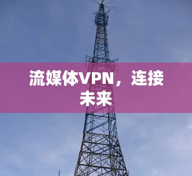 流媒体VPN,连接未来 流媒体VPN,连接未来