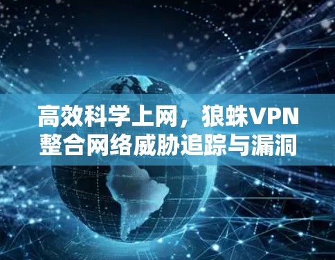 高效科学上网，狼蛛VPN整合网络威胁追踪与漏洞扫描