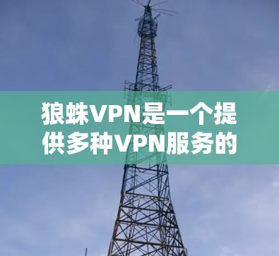 狼蛛VPN是一个提供多种VPN服务的软件，分为家庭版、企业版、个人版等版本。以下是使用狼蛛VPN安装到手机上的步骤