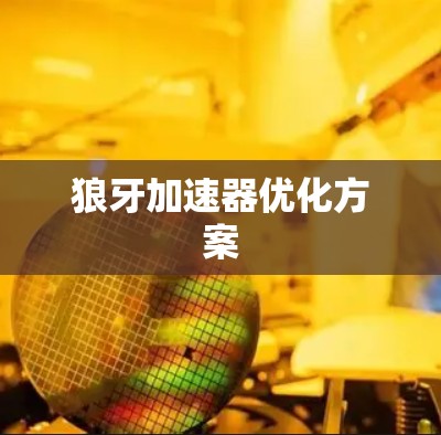 狼牙加速器优化方案