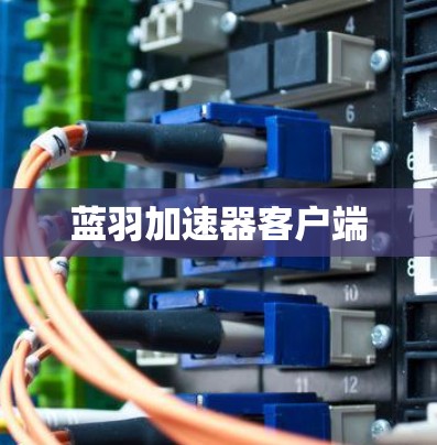 蓝羽加速器客户端 蓝羽加速器客户端