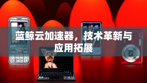 蓝鲸云加速器，技术革新与应用拓展
