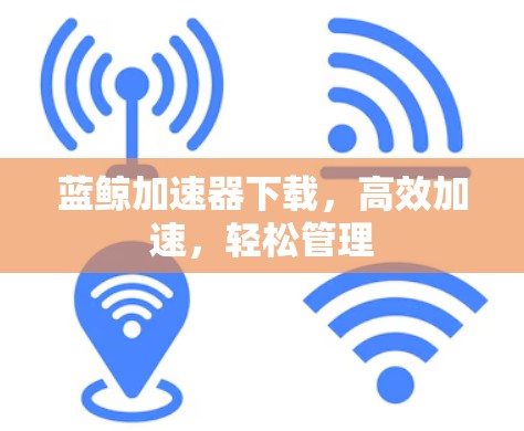 蓝鲸加速器下载，高效加速，轻松管理