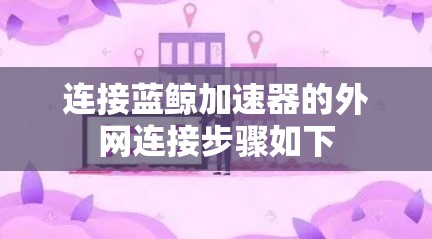 连接蓝鲸加速器的外网连接步骤如下