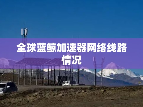 全球蓝鲸加速器网络线路情况 全球蓝鲸加速器网络线路情况