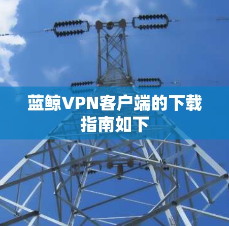 蓝鲸VPN客户端的下载指南如下 蓝鲸VPN客户端的下载指南如下
