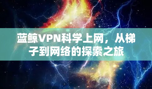 蓝鲸VPN科学上网，从梯子到网络的探索之旅
