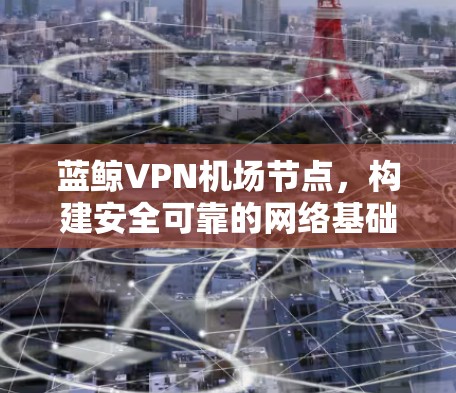 蓝鲸VPN机场节点，构建安全可靠的网络基础设施