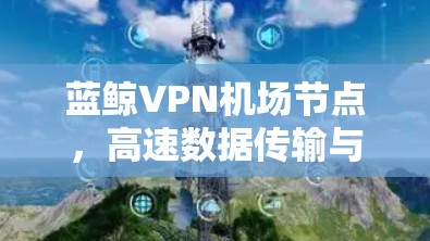 蓝鲸VPN机场节点，高速数据传输与安全保障