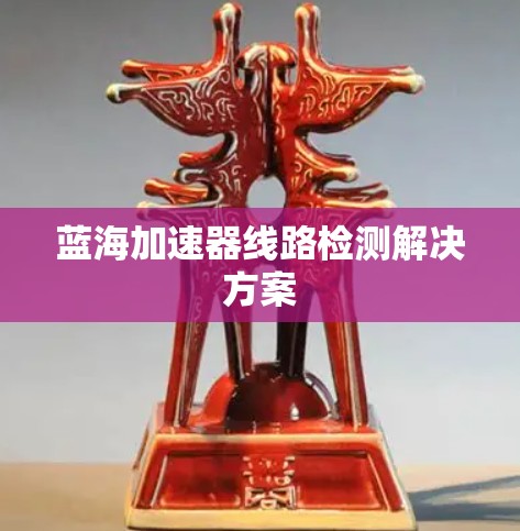 蓝海加速器线路检测解决方案