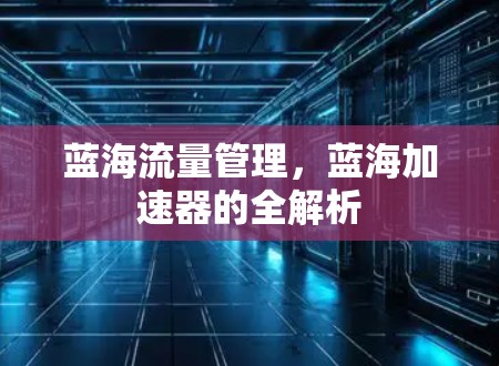 蓝海流量管理，蓝海加速器的全解析