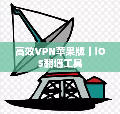 高效VPN苹果版｜iOS翻墙工具