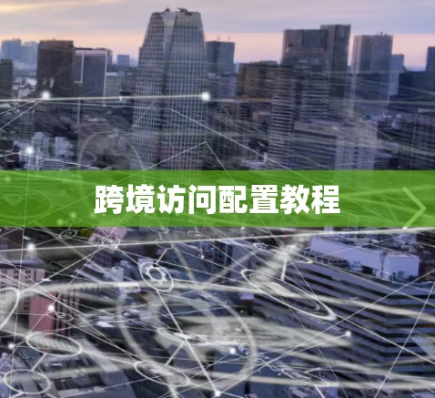 跨境访问配置教程