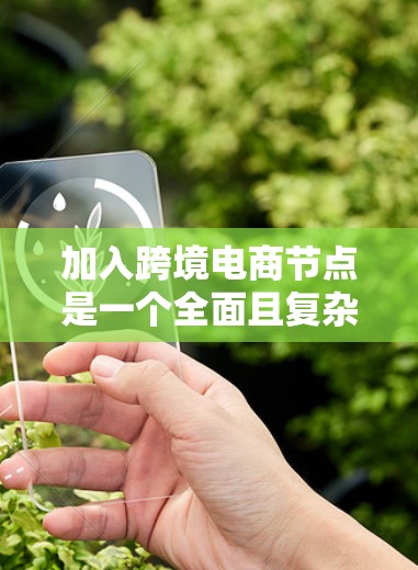 加入跨境电商节点是一个全面且复杂的过程，需要综合考虑多个因素。以下是逐步的建议
