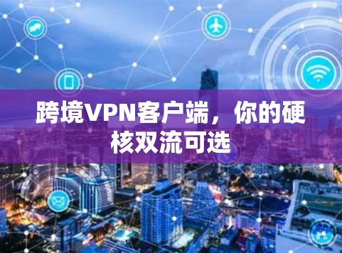 跨境VPN客户端，你的硬核双流可选