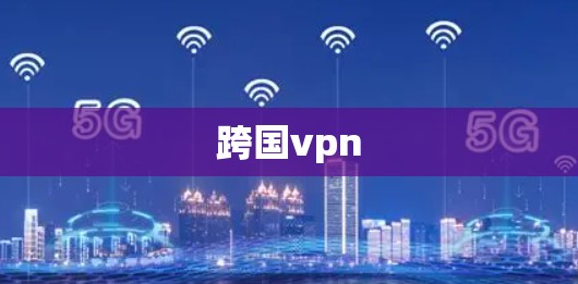 跨国vpn 跨国vpn