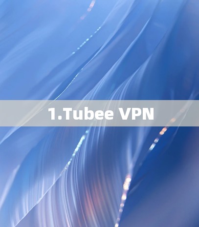 1.Tubee VPN