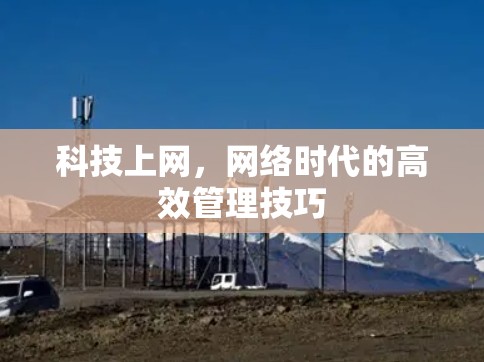 科技上网，网络时代的高效管理技巧