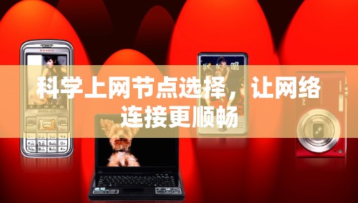 科学上网节点选择，让网络连接更顺畅